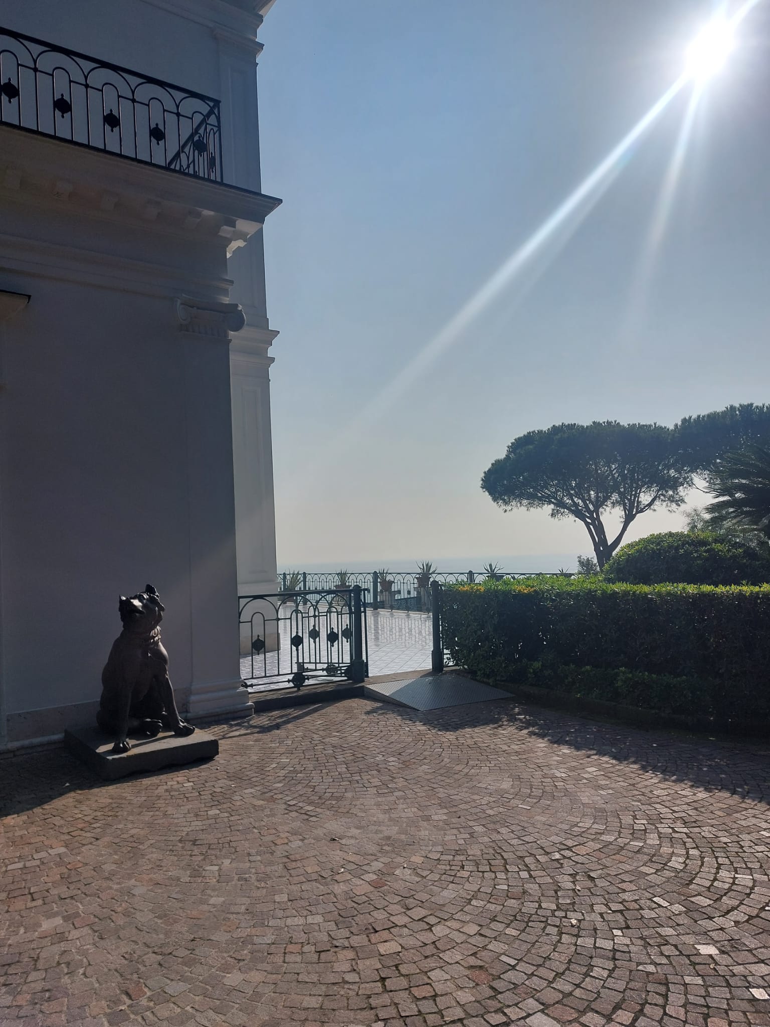 ec45831b-8889-4829-834a-8796d9540978